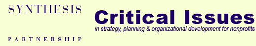 Synthesis Partnership - Critical Issues in Strategy, Planning & Organizational Development for Nonprofits